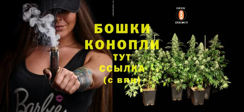 Бошки марихуана OG Kush  Усолье-Сибирское 